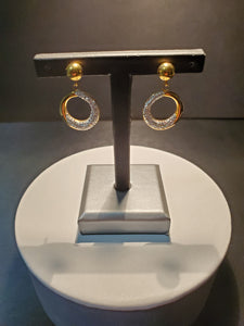 Steelx Earrings